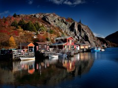 Quidi Vidi Autumn Morning